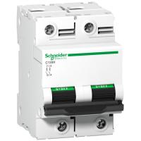 Schneider Electric АВТОМАТИЧЕСКИЙ ВЫКЛ. C120H 2П 100A D (арт.A9N18502)