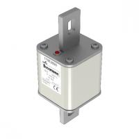 170E2095 Быстрый предохранитель 250A 500V TP 405 AR