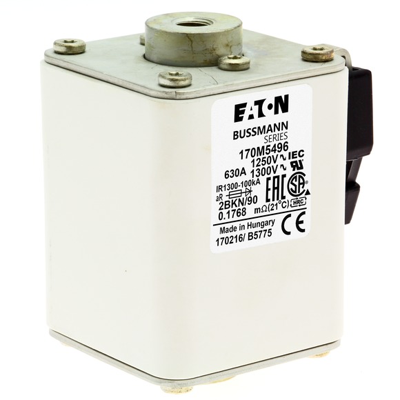 170M5497 Быстрый предохранитель 700A 1250V 2BKN/90 AR CU