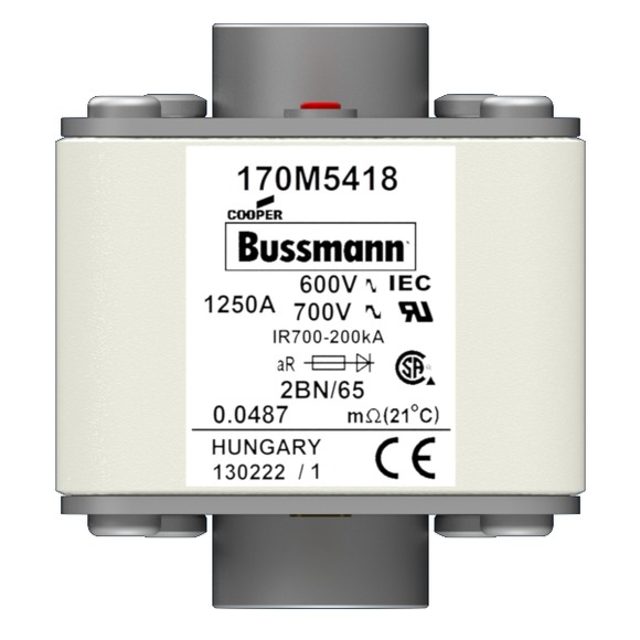 170M5418 Быстрый предохранитель 1250A 600V 2BN/65 AR UC