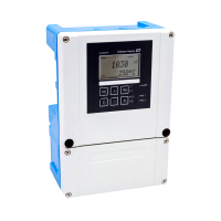 CLM153-A1A00A000 Endress+Hauser