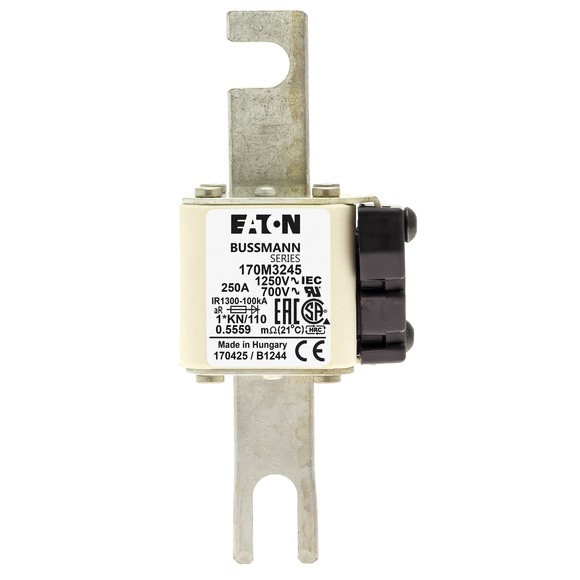 170M3245 Быстрый предохранитель 250A 1250V 1*KN/110 AR CU
