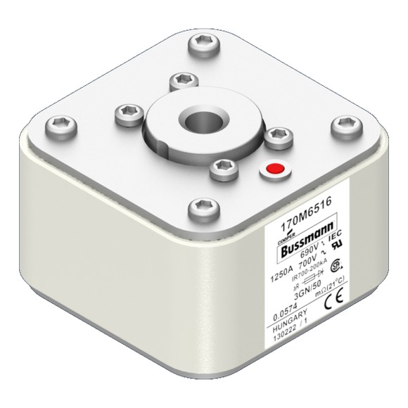 170M6517 Быстрый предохранитель 1400A 690V 3GN/50 AR UC