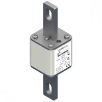 170M3720 Быстрый предохранитель 450A 690V 1*FU/115 AR UC