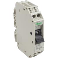 Schneider Electric GB2CD06 АВТОМАТИЧЕСКИЙ ВЫКЛЮЧАТЕЛЬ С КОМБИНИРОВАННЫМ РАСЦЕПИТЕЛЕМ 1 ПОЛЮС. 1А