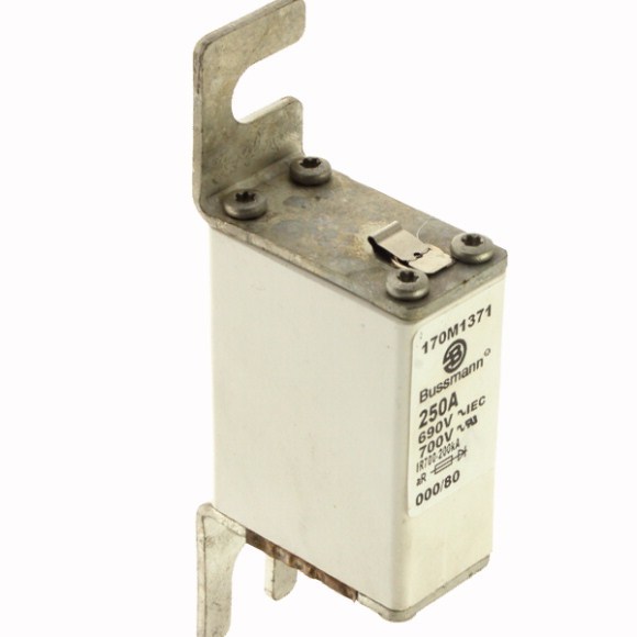 170M1371 Быстрый предохранитель 250A 690V 000/80 AR UC