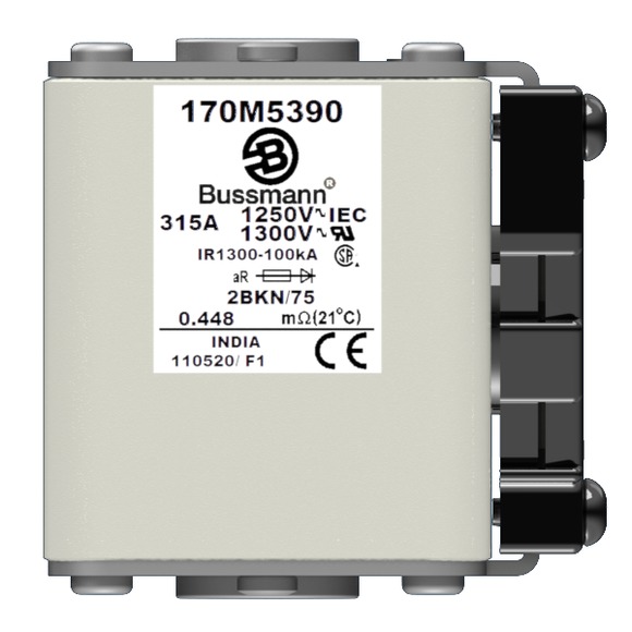 170M5390 Быстрый предохранитель 315A 1250V 2BKN/75 AR CU