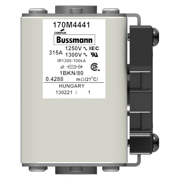170M4441 Быстрый предохранитель 315A 1250V 1BKN/80 AR CU
