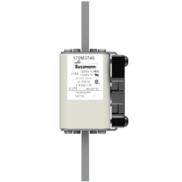 170M3746 Быстрый предохранитель 315A 1250V 1*FKE/115AR CU