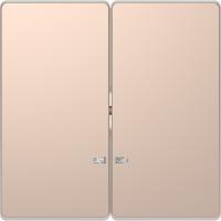 Schneider Electric MTN3420-6051 MERTEN D-Life КЛАВИША 2-ная с линзой для LED модуля, ШАМПАНЬ