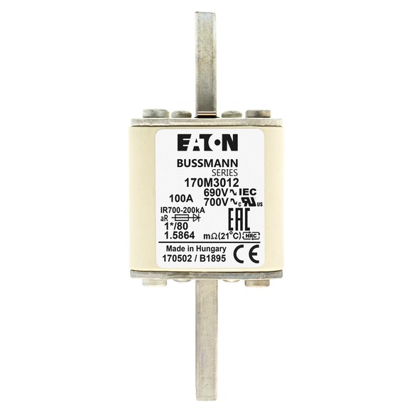 170M3012 Быстрый предохранитель 100A 690V 1*/80 AR UC
