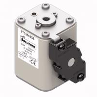 170M4956 Быстрый предохранитель 400A 1000V 1BKN/75 AR