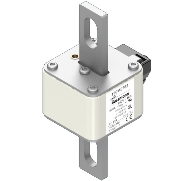 170M5762 Быстрый предохранитель 630A 690V 2FKE/115 AR UC