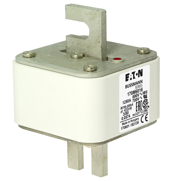 170M6016 Быстрый предохранитель 1250A 690V 3/80 AR UC