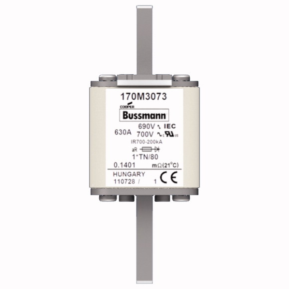 170M3073 Быстрый предохранитель 630A 690V 1*TN/80 AR UC