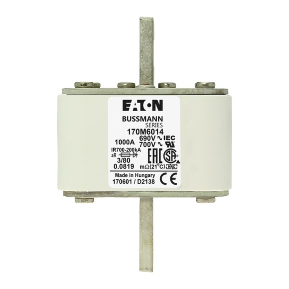 170M6014 Быстрый предохранитель 1000A 690V 3/80 AR UC