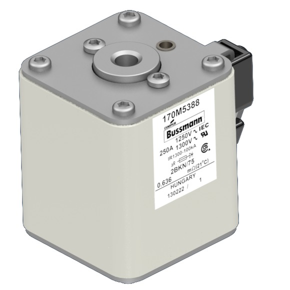 170M5388 Быстрый предохранитель 250A 1250V 2BKN/75 AR CU