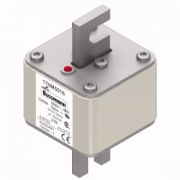170M5016 Быстрый предохранитель 1000A 690V 2/80 AR UC