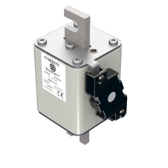 170E8076 Быстрый предохранитель 250A 1000V 2KN/110 AR