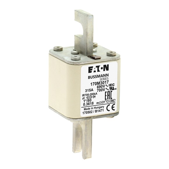 170M3017 Быстрый предохранитель 315A 690V 1*/80 AR UC