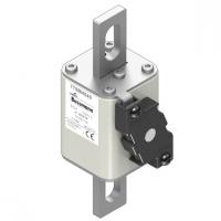 170M4540 Быстрый предохранитель 630A 1000V 1FKE/115 AR