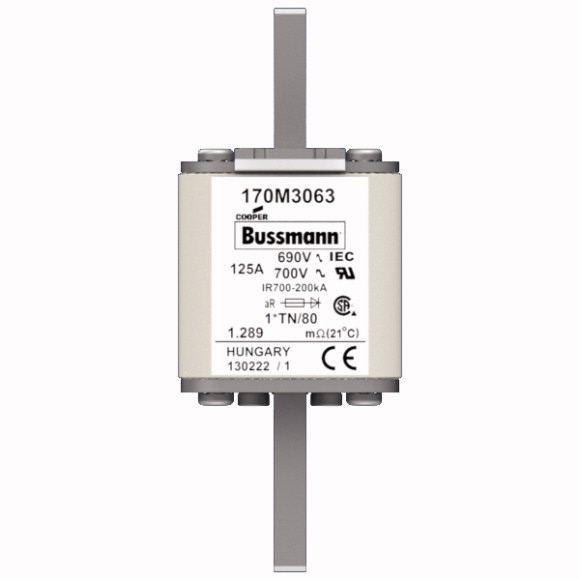 170M3063 Быстрый предохранитель 125A 690V 1*TN/80 AR UC