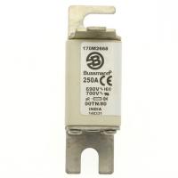 170M2668 Быстрый предохранитель 250A 690V 00TN/80 AR UR
