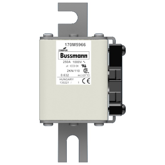 170M5966 Быстрый предохранитель 250A 1000V 2KN/110 AR UR
