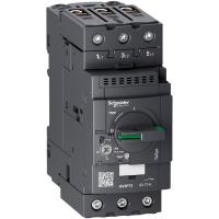 Schneider Electric GV3P73 АВТОМАТИЧЕСКИЙ ВЫКЛЮЧАТЕЛЬ С КОМБИНИРОВАННЫМ РАСЦЕПИТЕЛЕМ 62-73А ЗАЖИМ EVERLINK