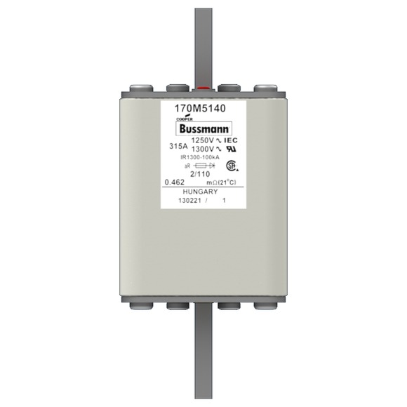170M5140 Быстрый предохранитель 315A 1250V 2/110 AR CU