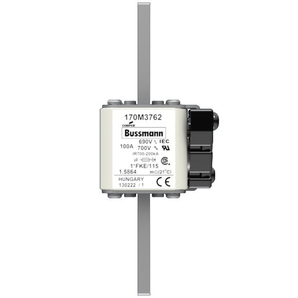170M3762 Быстрый предохранитель 100A 690V 1*FKE/115 AR UC