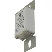 170M1761 Быстрый предохранитель 315A 690V IEC aR 000FU/70