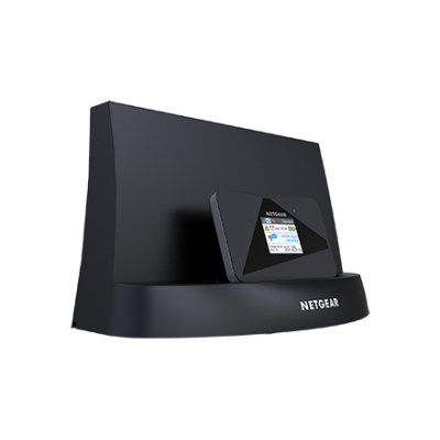 NetGear DC113A-100EUS