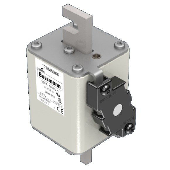 170M5966 Быстрый предохранитель 250A 1000V 2KN/110 AR UR