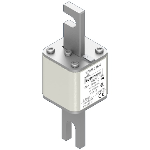 170M3164 Быстрый предохранитель 160A 690V 1*/110 AR UC