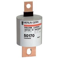 Schneider Electric 50171 РАЗРЯДНИК 440В АС