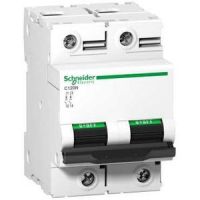 Schneider Electric АВТОМАТИЧЕСКИЙ ВЫКЛ. C120H 2П 80A B (арт.A9N18413)