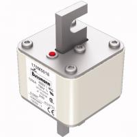 170M5018 Быстрый предохранитель 1250A 600V 2/80 AR UC