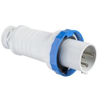 Schneider Electric 81378 КАБ. ВИЛКА, ВИНТ 63А 2P+E IP67 220В