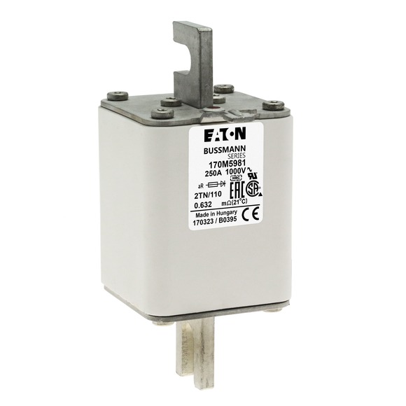 170M5981 Быстрый предохранитель 250A 1000V 2TN/110 AR UR