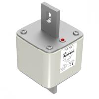 170E7043 Быстрый предохранитель 450A 500V TP 605 AR